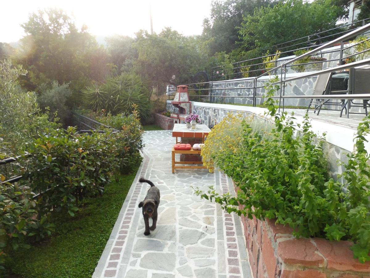 Helianthos Villa - Apartment No3 卡瓦拉 外观 照片